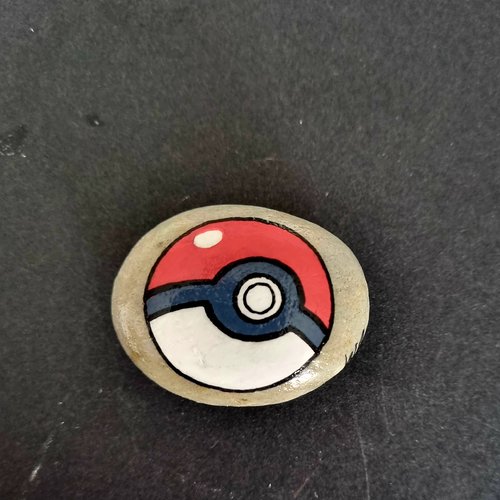 Les galets personnages de pokemons  de wonder