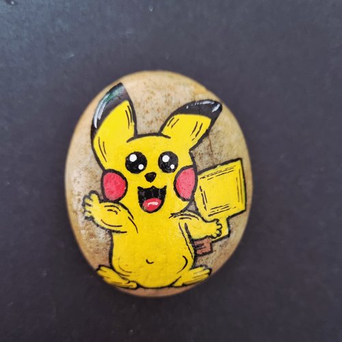Les galets personnages de pokemons  de wonder
