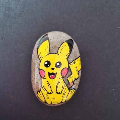 Les galets personnages de pokemons  de wonder