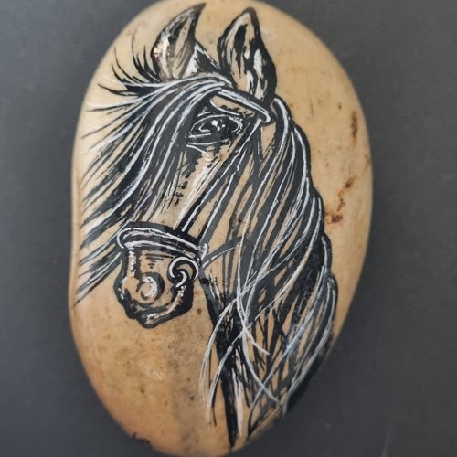 Les galets chevaux de wonder