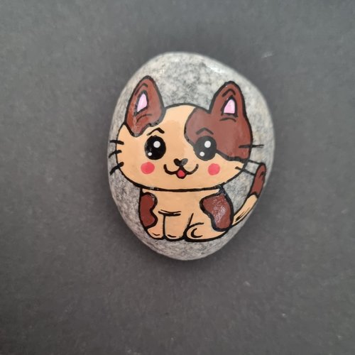 Les galets chats de wonder