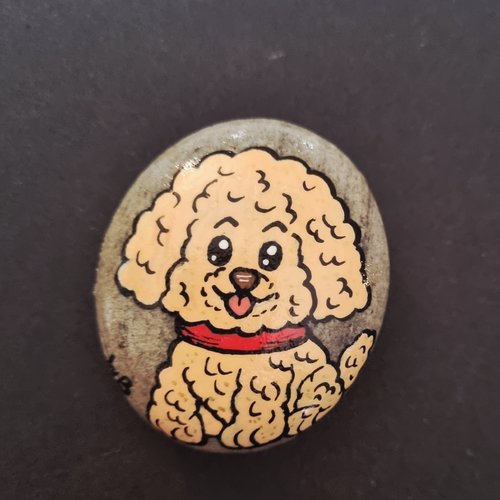 Les galets chiens de wonder