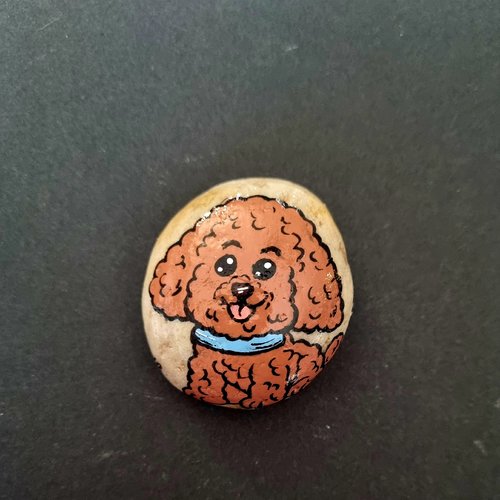 Les galets chiens de wonder