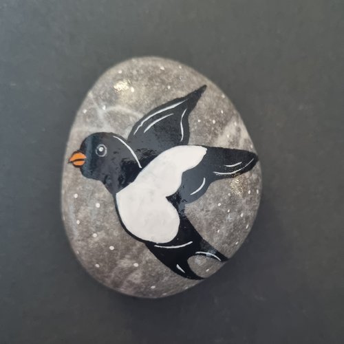 Les galets oiseaux de wonder