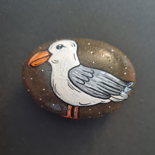 Les galets oiseaux de wonder