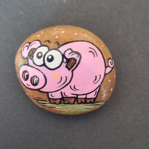 Les galets cochons de wonder