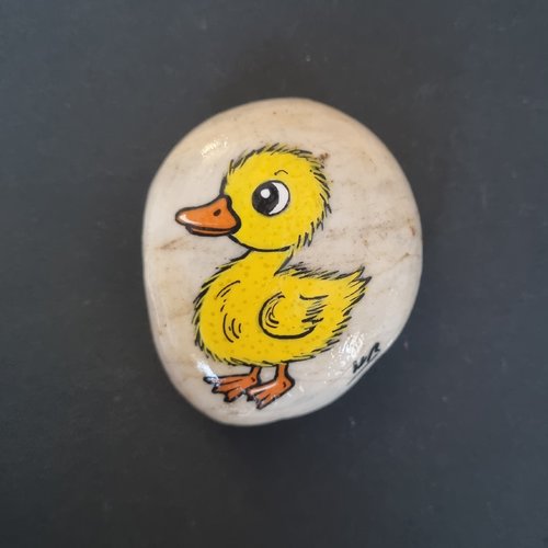 Les galets oiseaux de wonder