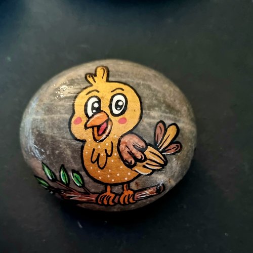 Les galets oiseaux de wonder