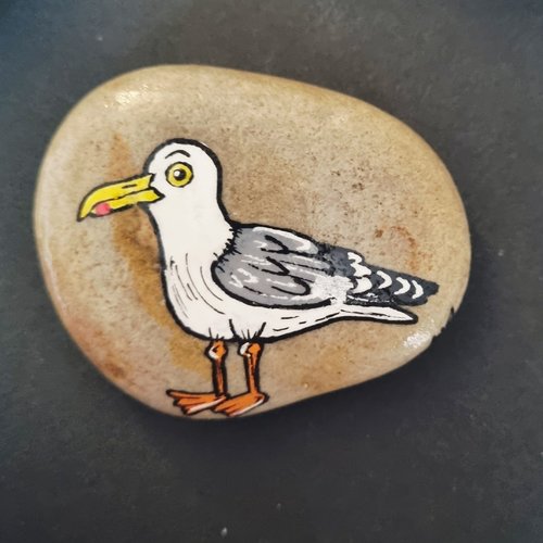Les galets oiseaux de wonder