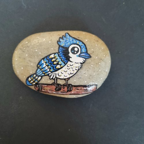 Les galets oiseaux de wonder