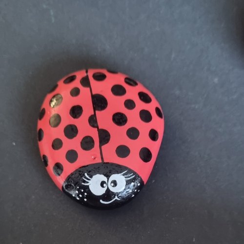 Les galets coccinelles de wonder