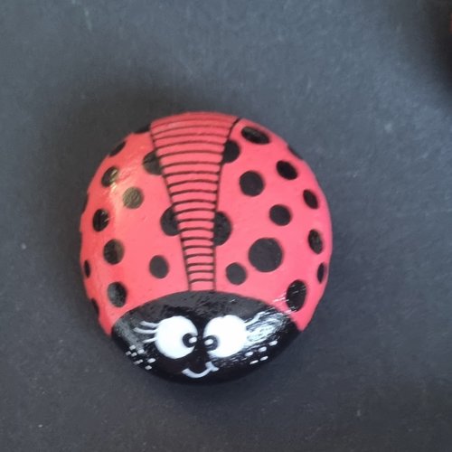 Les galets coccinelles de wonder