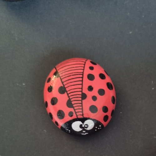 Les galets coccinelles de wonder