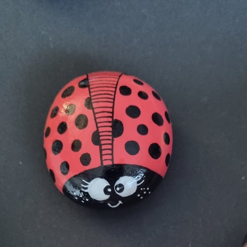 Les galets coccinelles de wonder