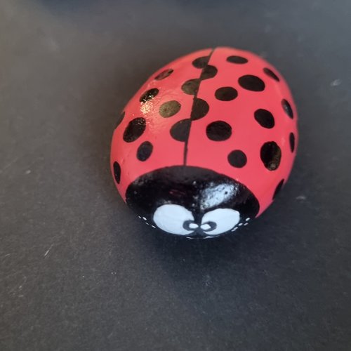 Les galets coccinelles de wonder