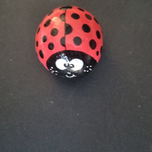 Les galets coccinelles de wonder