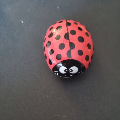 Les galets coccinelles de wonder