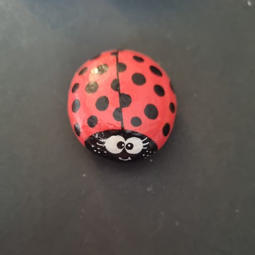 Les galets coccinelles de wonder