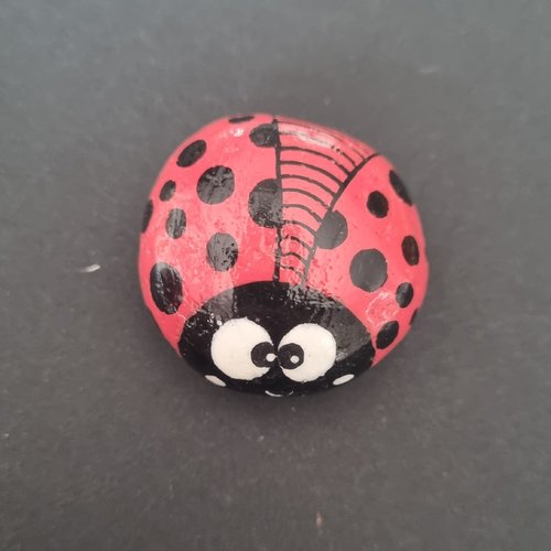 Les galets coccinelles de wonder