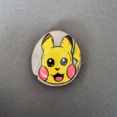 Les galets personnages de pokemon de wonder
