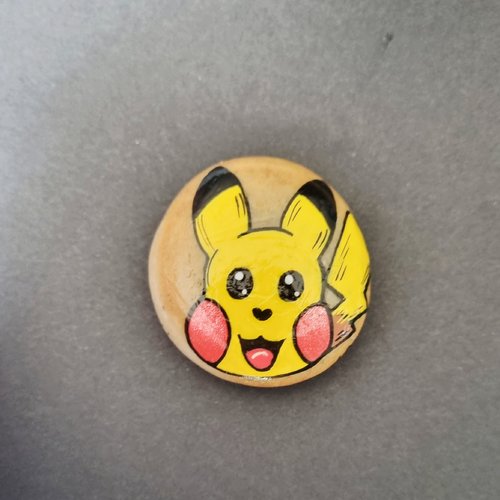 Les galets personnages de pokemon de wonder