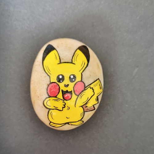 Les galets personnages de pokemon de wonder