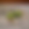 Boucle d oreille glace magnum croqué-vert-marron-de 3cm de haut-2cm de large 