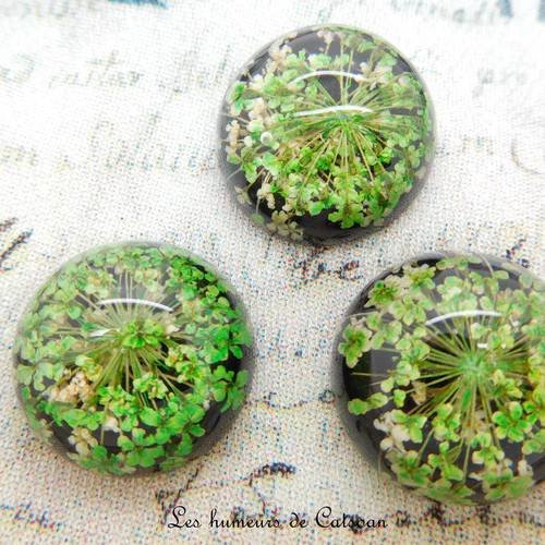 1 cabochon en résine avec petites fleurs séchées vertes 20 mm