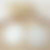 Boucles d'oreilles lisa - pendentif coquillage en acétate blanc nacré