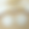 Boucles d'oreilles lise - pendentif coquillage en acétate blanc nacré