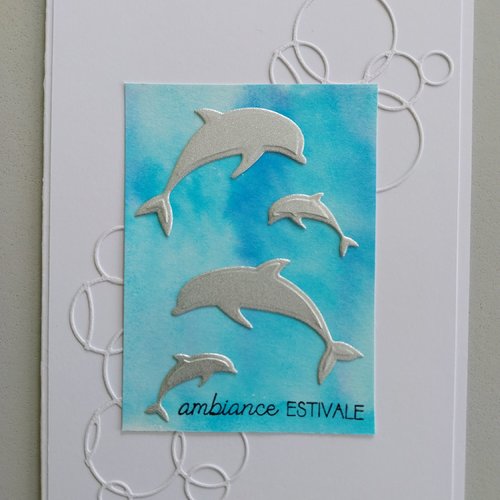 Carte : dauphins