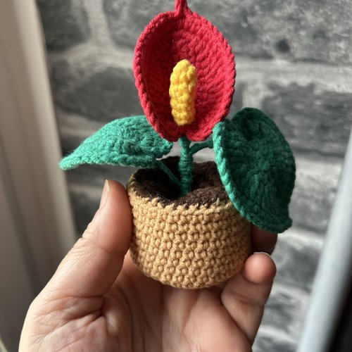 Antharium et son pot au crochet