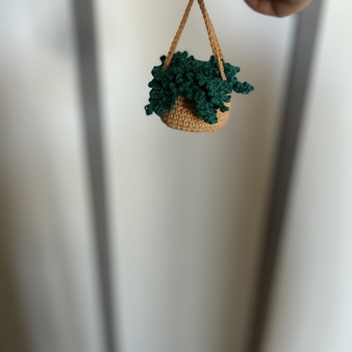Mini fougère