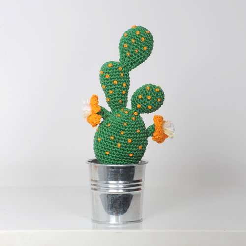 Cactus à pois et fleurs orange