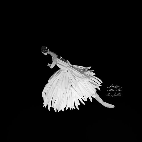 Giselle