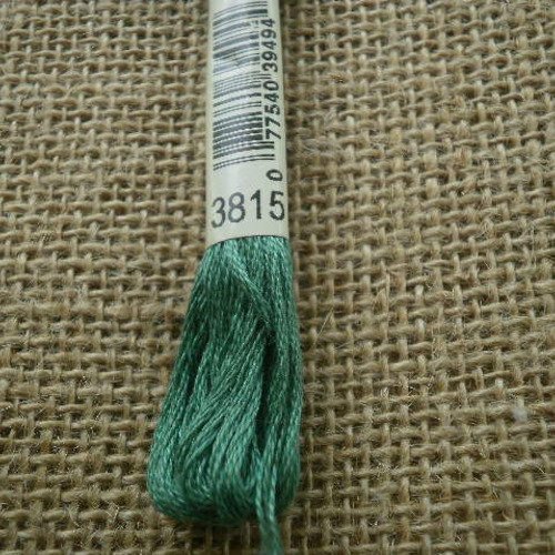 Echevette de fil mouliné  25 en coton  dmc ,  coloris 3815 vert