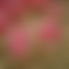 Boutons  ronds x 2  , coloris rose marbré avec une partie  transparente  paillettée , taille 18 mm