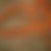 Deux mètres de ruban de satin , largeur 3 mm , coloris orange vif 