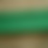 Biais x 2 mètres en polycoton , coloris vert vif , largeur 2 cm