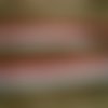 Dentelle de bordure en coton , coloris blanc , bordure brodée rouge , largeur 11 mm