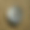 Gros bouton rond à deux trous  en nacre , coloris gris  , diamètre 4 cm
