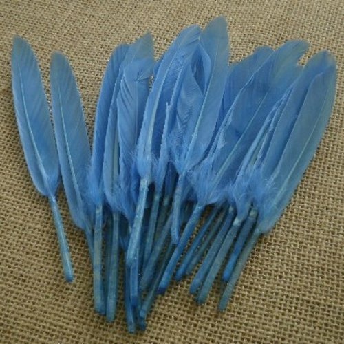 Sachet de 24 plumes , coloris bleu , taille 13 x 1,5 cm