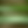 Biais x 2 mètres en polycoton , coloris vert  , largeur 2 cm