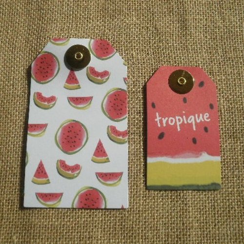 Sachet de 10 étiquettes tags , motif pastèques  , taille 12 x 7,5 et 9,5 x 5,5 cm