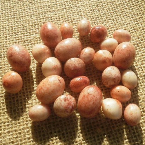 Assortiment de 25 perles en synthétique , coloris orangé , écru et brique marbré , tailles et formes diverses