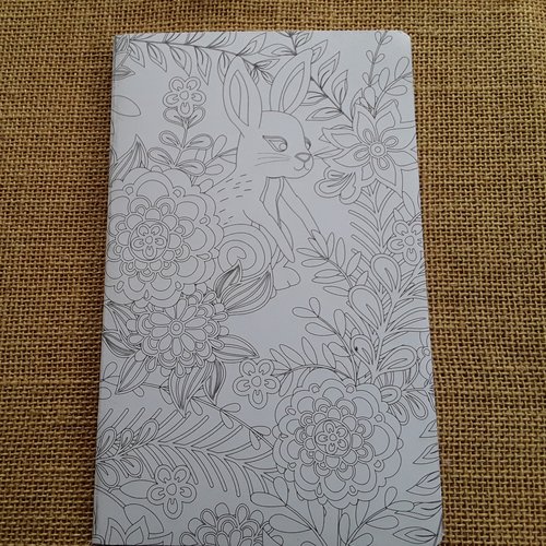 Carnet journal à colorier , 64 pages de feuilles lignées , taille 21 x 13 cm
