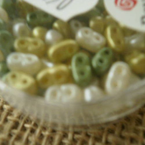 Boite de 12 grammes de perles rocailles cirées à deux trous , taille 3 x 5 mm