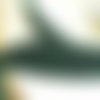 Ruban de velours , largeur  16 mm , coloris  vert 
