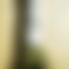 Echevette  de coton à broder  retors dmc , numero 4  , coloris 2141 kaki 