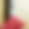 Echevette  de coton à broder  retors dmc , numero 4  , coloris 2309 fuchsia 